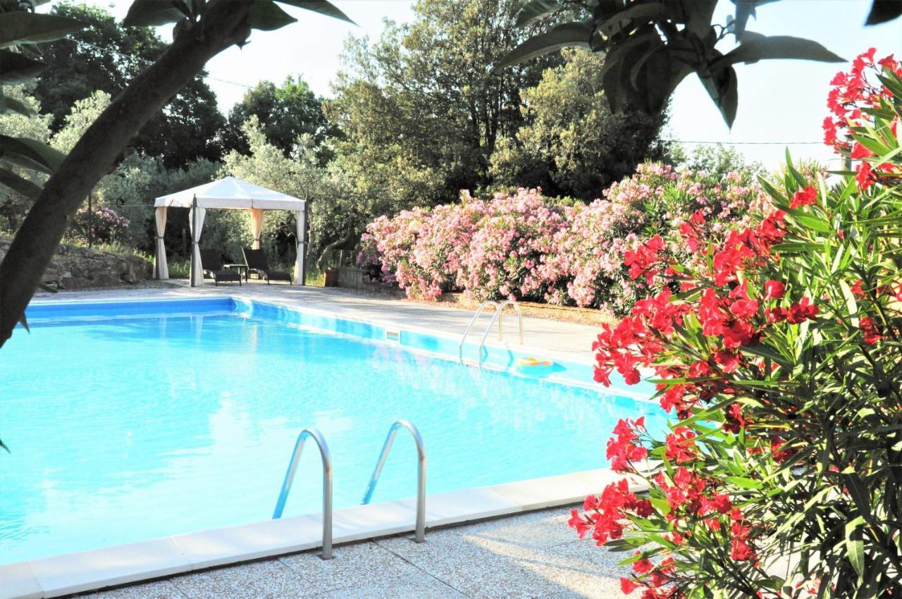 Agriturismo Pereti Roccatederighi Buitenkant foto