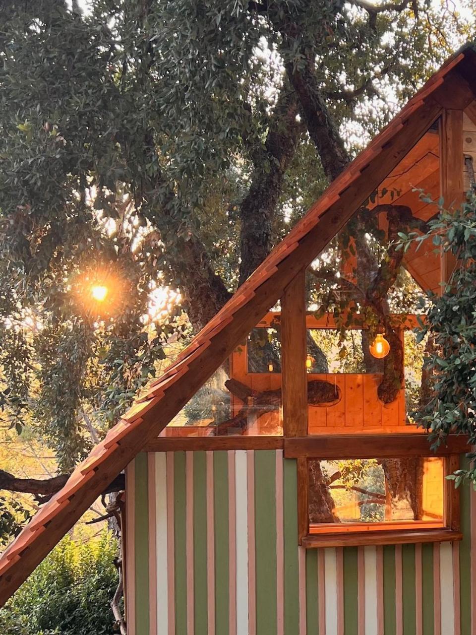 Agriturismo Pereti Roccatederighi Buitenkant foto